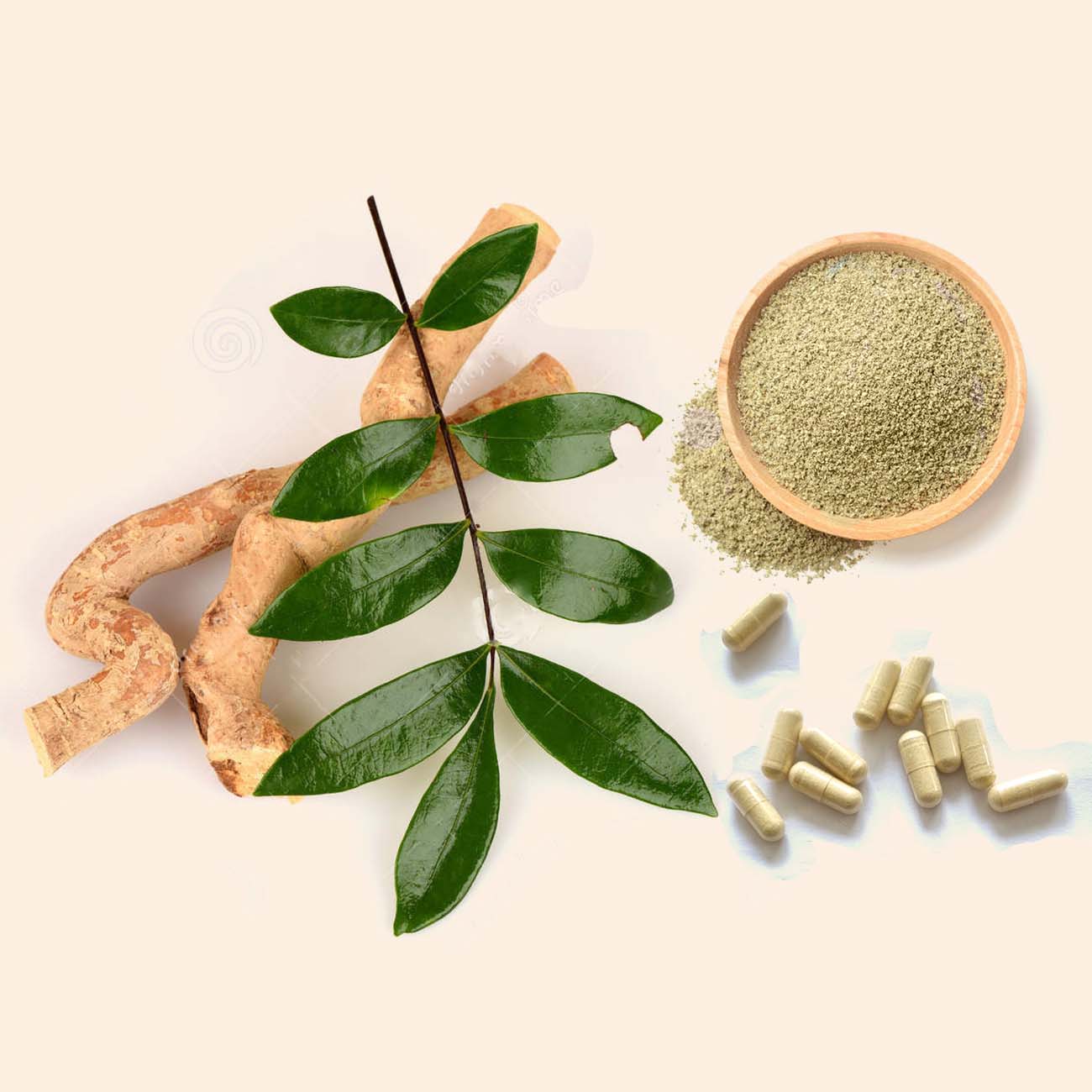 ashwagandha extract kopen