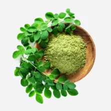 moringa kopen